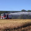 Feldflur Barbis 30.06.2018